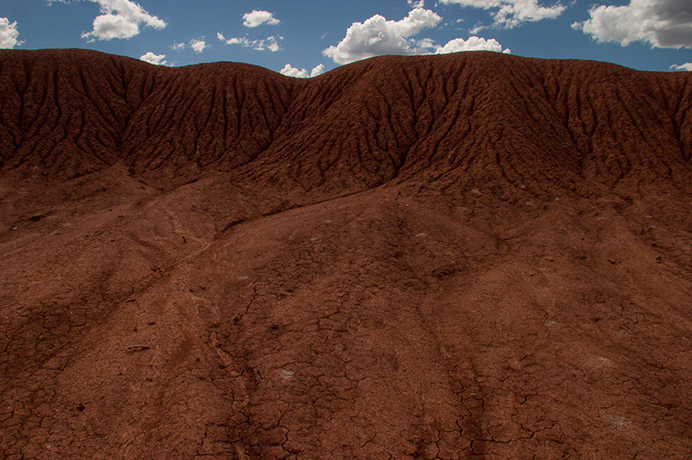 %_tempFileNamelevel%20elephants%