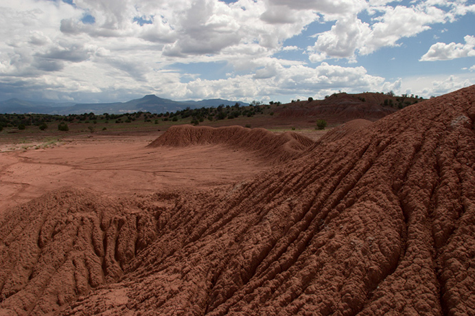 %_tempFileNameliving%20form%